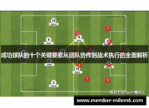 成功球队的十个关键要素从团队协作到战术执行的全面解析