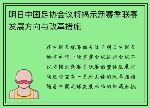 明日中国足协会议将揭示新赛季联赛发展方向与改革措施