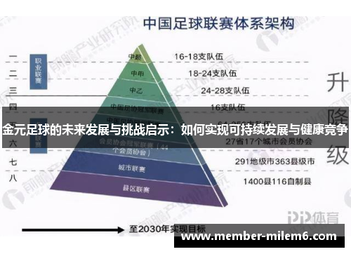 金元足球的未来发展与挑战启示：如何实现可持续发展与健康竞争