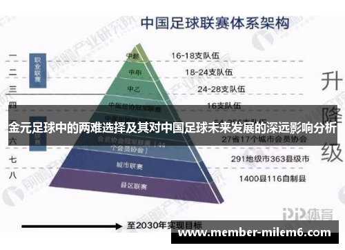 金元足球中的两难选择及其对中国足球未来发展的深远影响分析