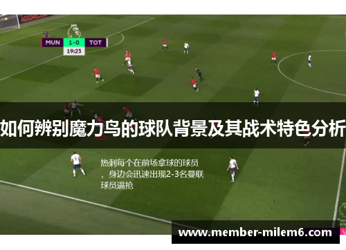 如何辨别魔力鸟的球队背景及其战术特色分析