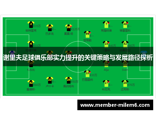谢里夫足球俱乐部实力提升的关键策略与发展路径探析