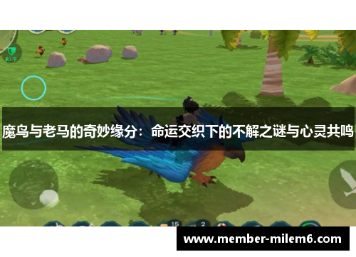 魔鸟与老马的奇妙缘分：命运交织下的不解之谜与心灵共鸣