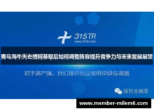 青岛海牛失去博阿基耶后如何调整阵容提升竞争力与未来发展展望