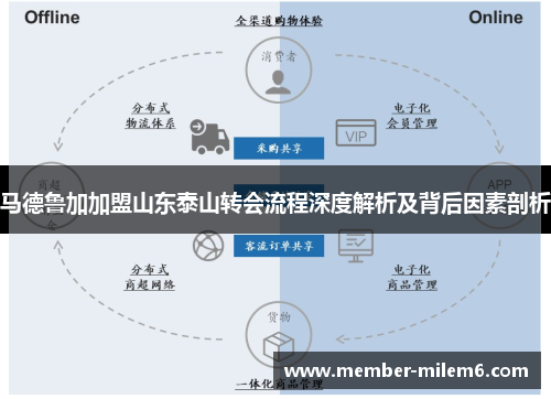 马德鲁加加盟山东泰山转会流程深度解析及背后因素剖析